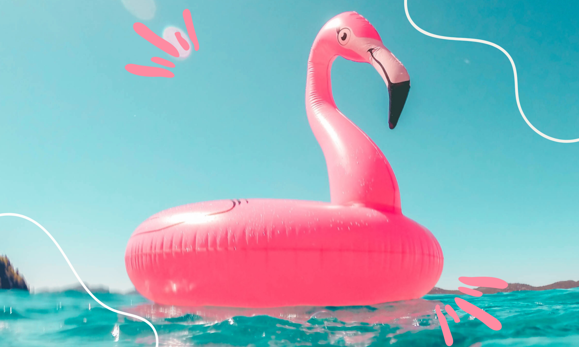 MOVE25 Flamingo